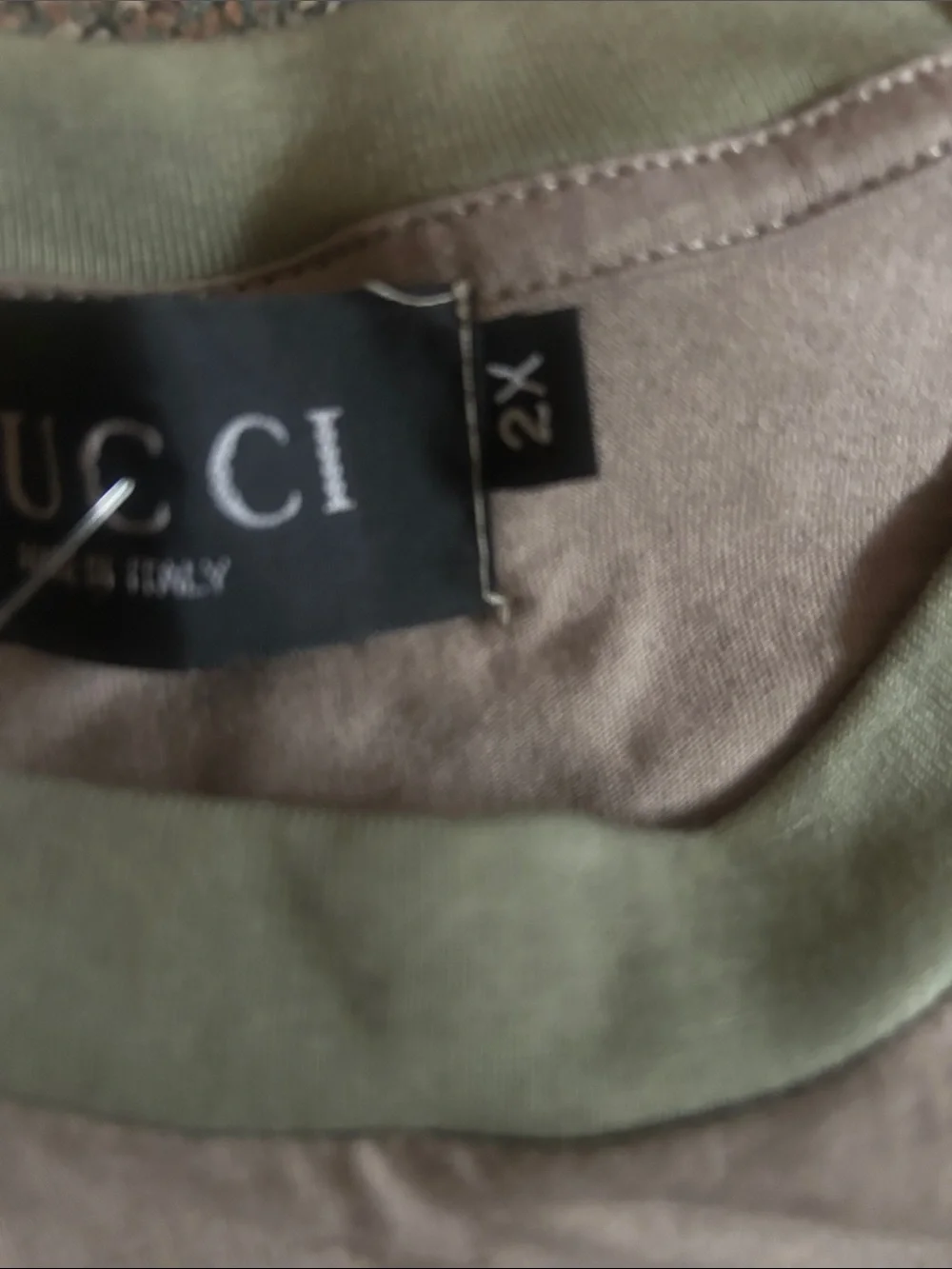 AUTHENTIC-Gucci Taupe Long Sleeve Tee / White Graphic and embroidered Green-NEW
